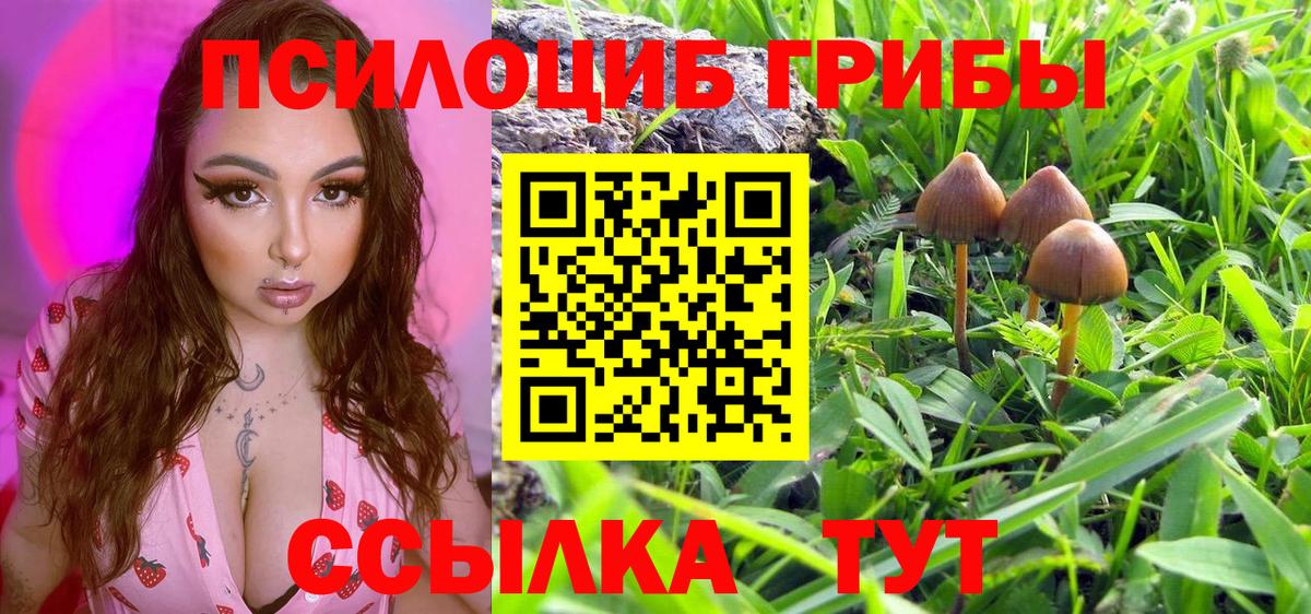 Нерюнгри  Псилоцибиновые грибы мицелий  Вход с VPN 