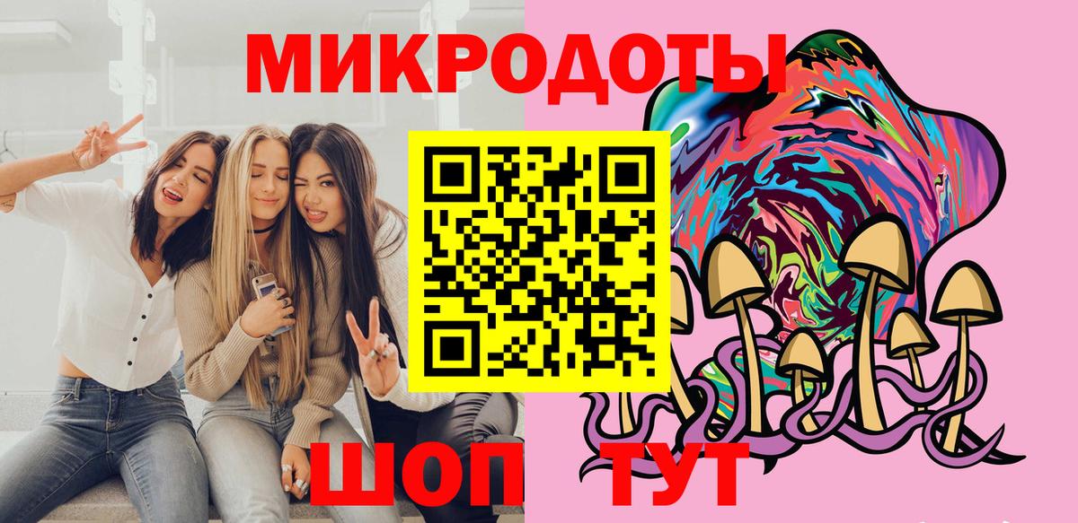 Псилоцибиновые грибы Psilocybe Нерюнгри